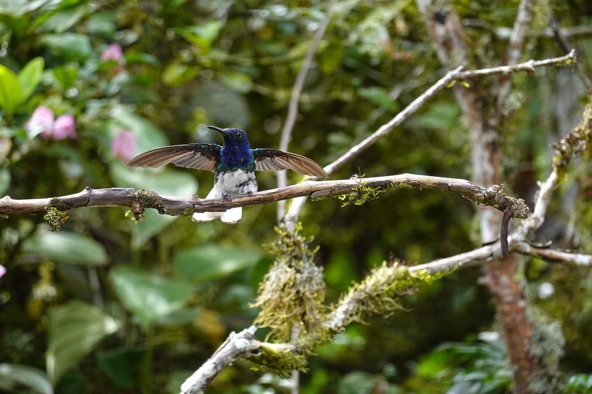 ATTA Launches Sustainability Resource Center Adventure Travel Trade