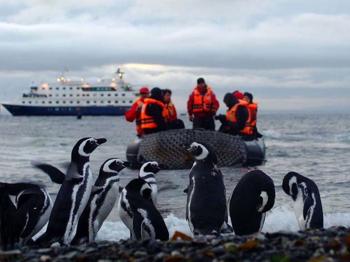 Australis Cruises: 35 Years of Voyaging to the End of the World