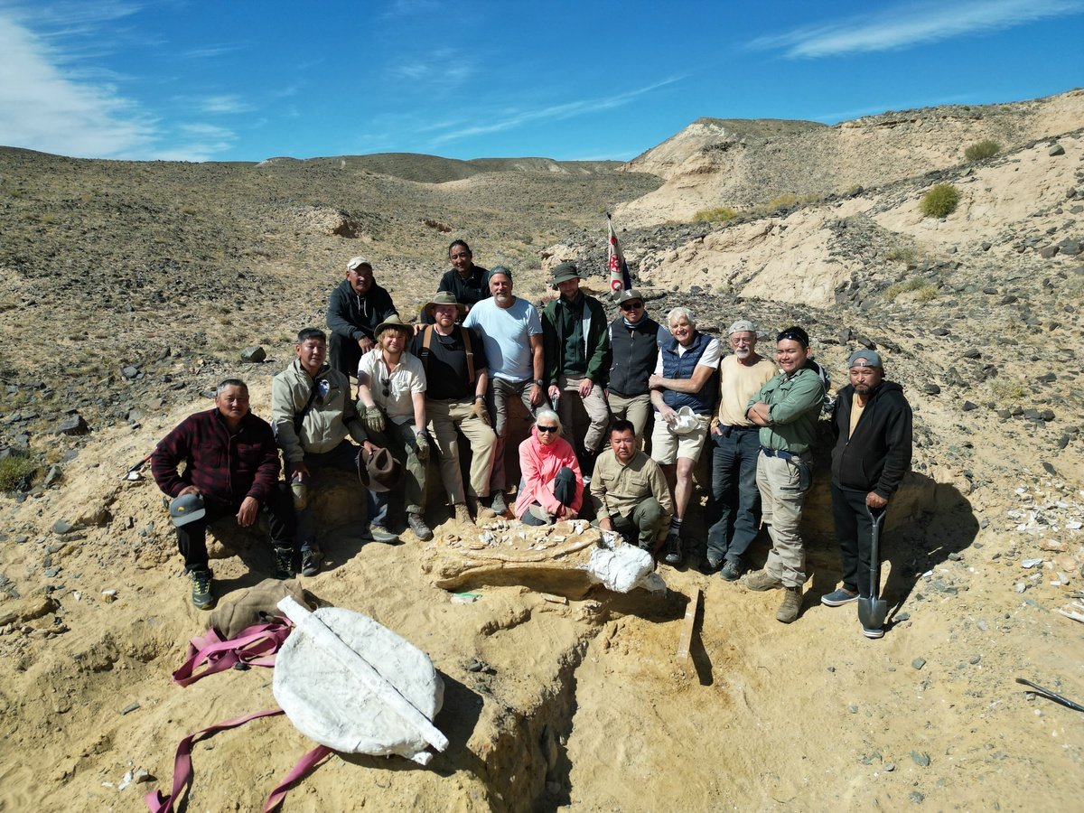 Dinosaurs of Mongolia Expedition: How Citizen Science Is Bringing Travelers into Real Research