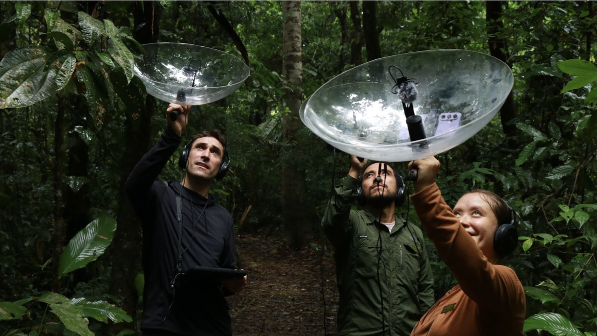 Transformational Experiences from Peru are Globally Recognized: The 8 Primates Project Receives the Regenerative Travel Impact Award 2025